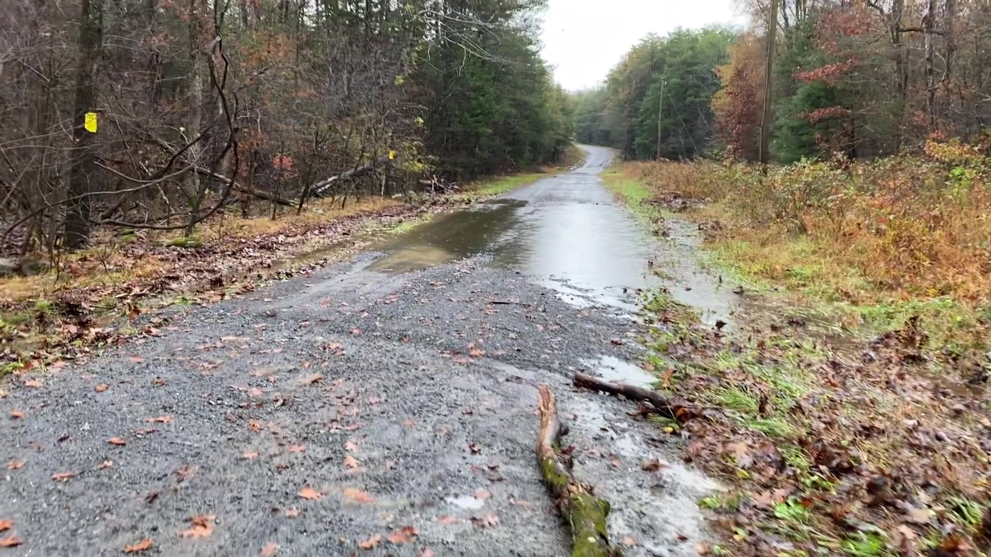 Culpeper Rainfall Flooding - Video 1/5